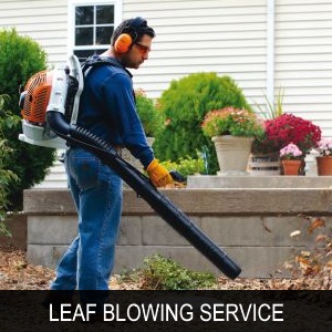 quote services leafblowing