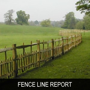 quote services fence line report