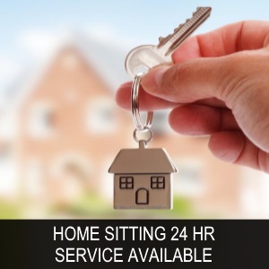 quote services home sitting