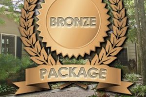 Bronze Package — Yearly up to 10,000 S/F